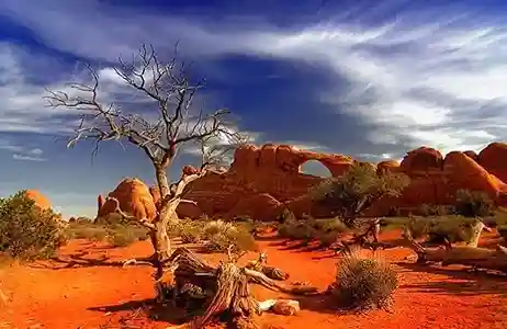 great-victoria-desert