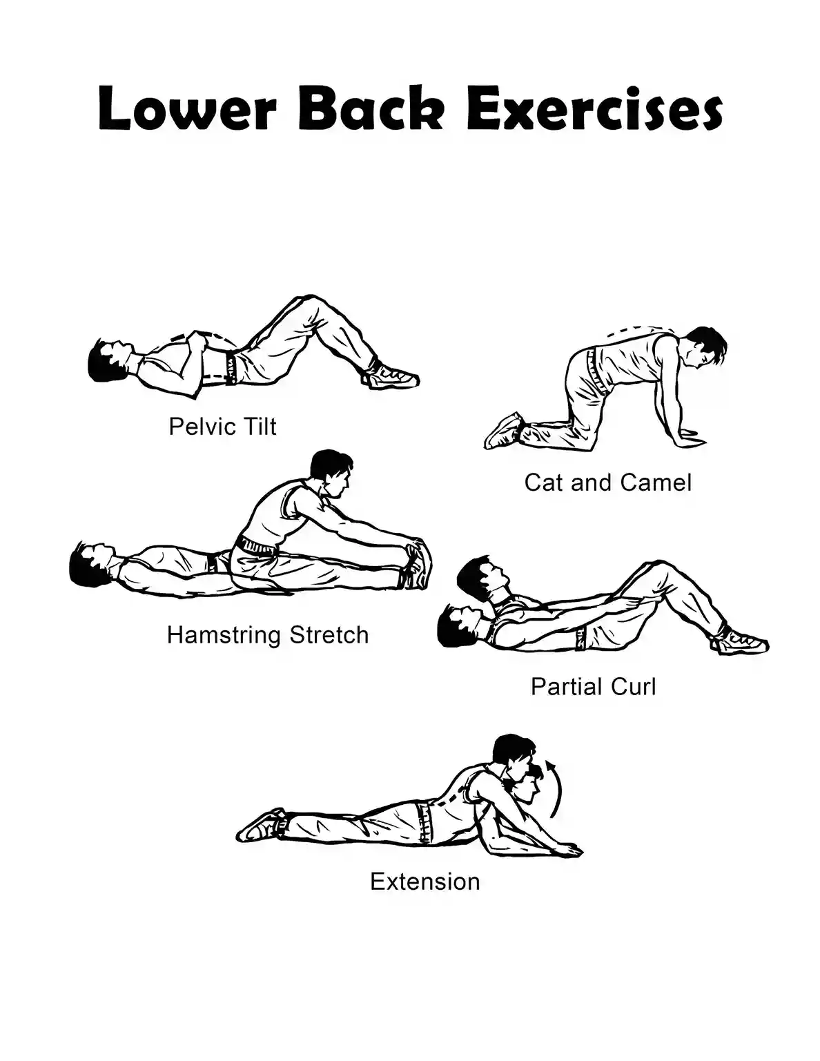 strengthening-exercises-for-lower-back-support