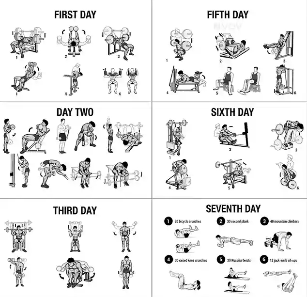 nutrition-for-muscle-growth