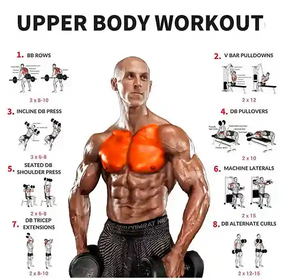 best-upper-body-exercises