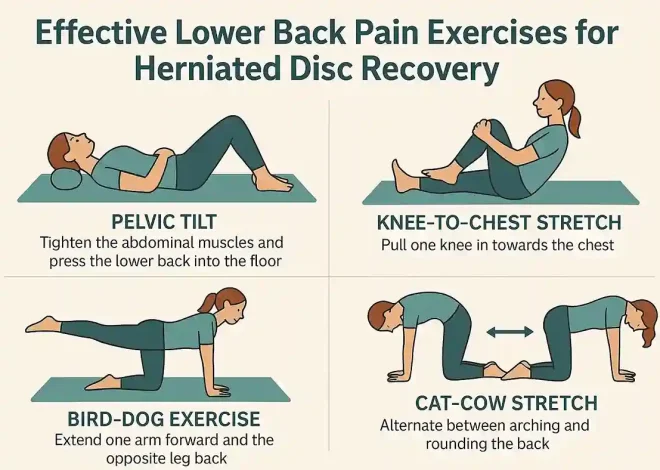 Best Physical Therapy Exercises for Lower Back Pain Relief & Recovery (2026 Guide)