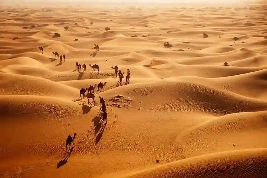 Top 10 Incredible Deserts in the World You Must Know (Beyond Just Sand)