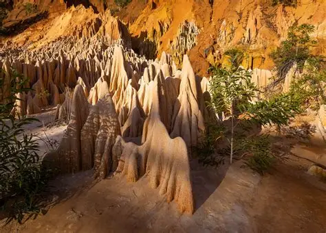 madagascar-wildlife-landscapes