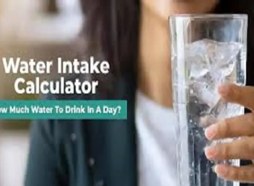How Much Water Should You Drink a Day? A Complete Guide to Staying Hydrated