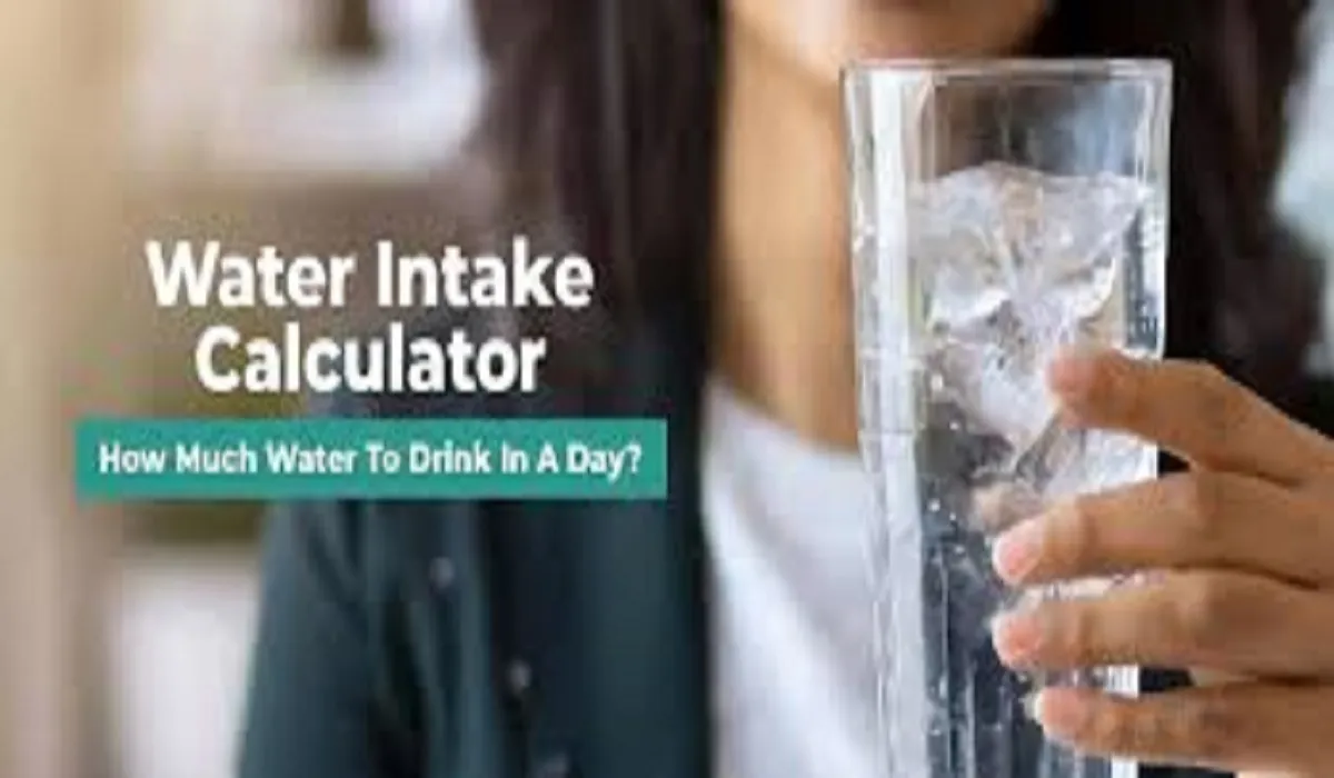 How Much Water Should You Drink a Day? A Complete Guide to Staying Hydrated