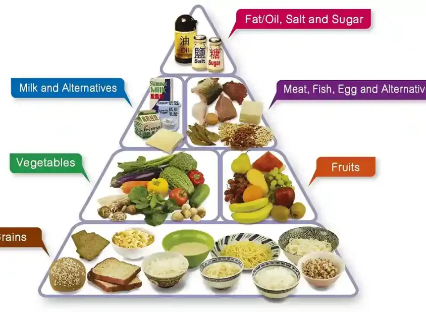 What Is a Balanced Diet? A Simple Guide to Healthy Eating