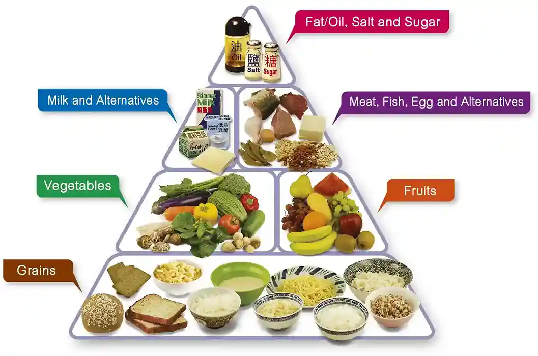 What Is a Balanced Diet? A Simple Guide to Healthy Eating