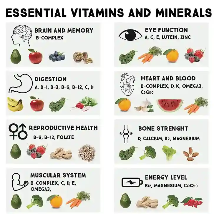 14-essential-vitamins