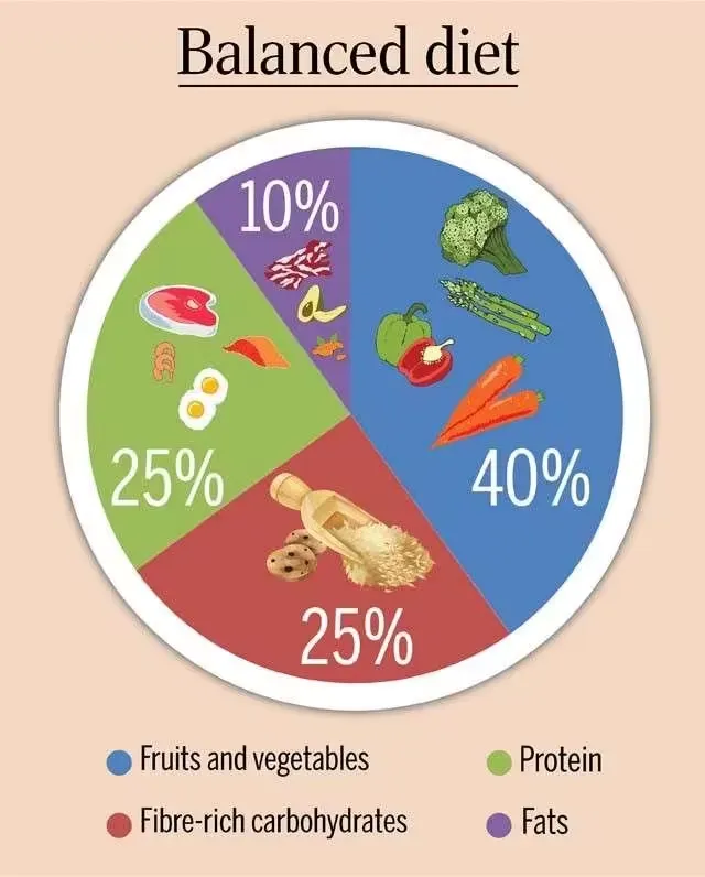 what-is-a-balanced-diet
