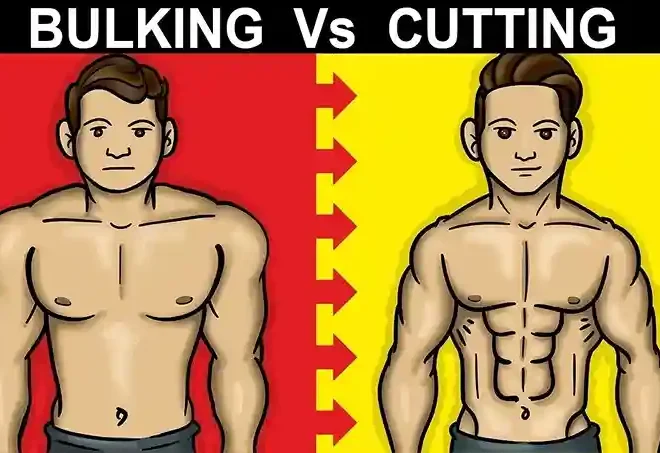 From Skinny to Strong: How We Built 70 Pounds of Lean Muscle Naturally