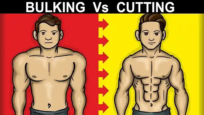 From Skinny to Strong: How We Built 70 Pounds of Lean Muscle Naturally