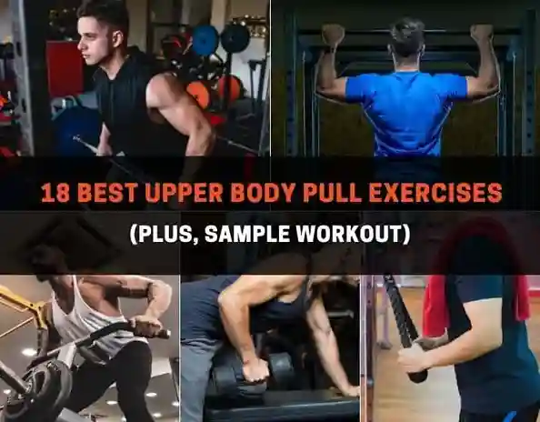 12 Best Upper Body Exercises to Build Strength, Size & Functional Fitness